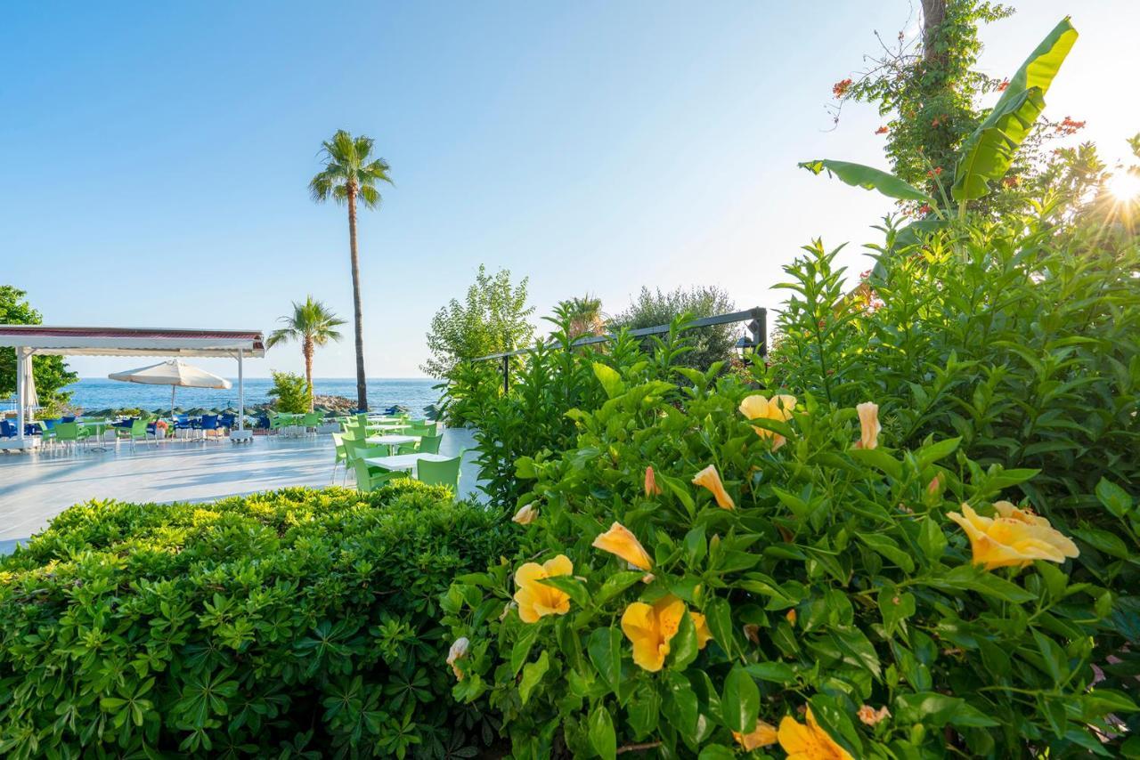 Ramira Beach Hotel Avsallar Exterior photo